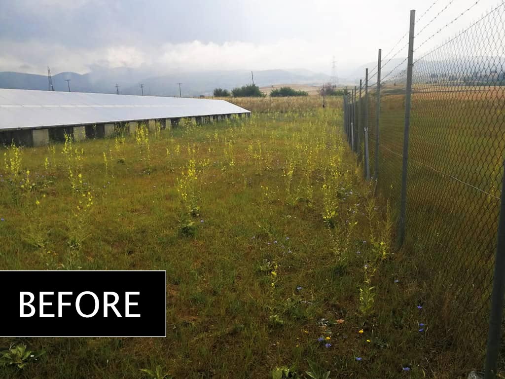 Lawn mowing in a 100KW park - Project No.1