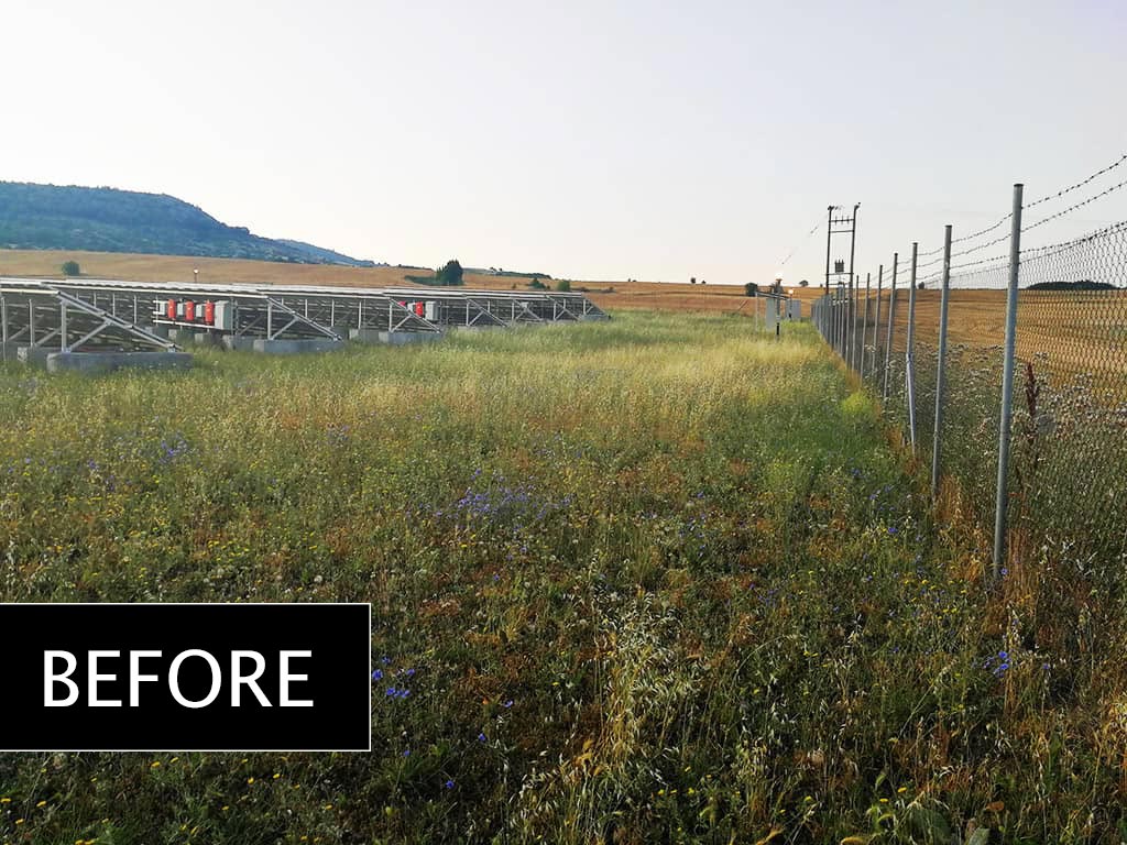 Lawn mowing in a 100KW park - Project No.2