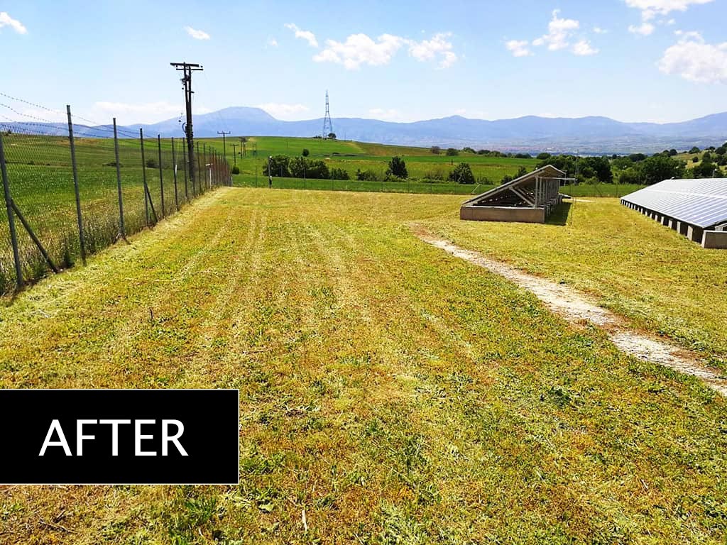 Lawn mowing in a 100KW park - Project No.4