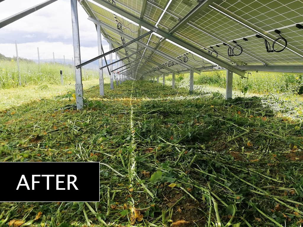 Lawn mowing in a 100KW park - Project No.5
